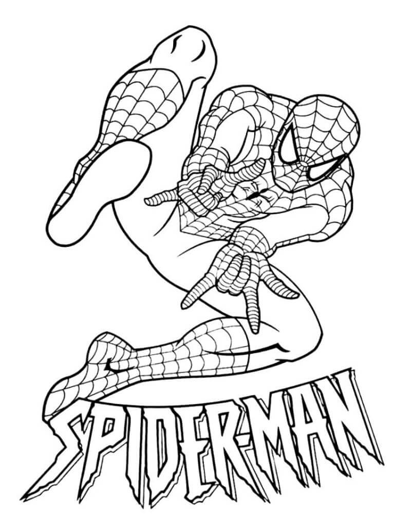 Crazy Spiderman Poster 