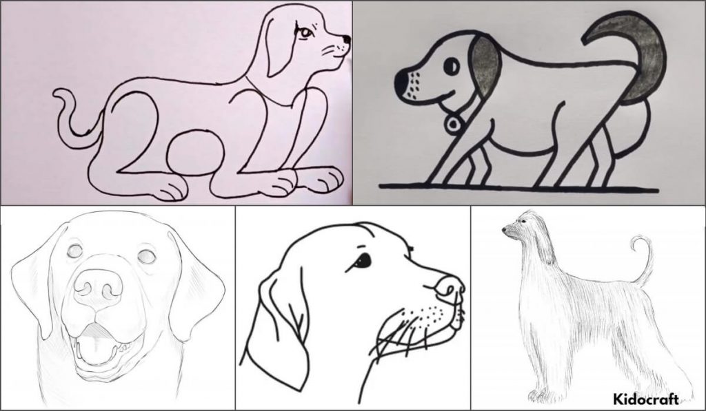 Easy Tutorials On How to Draw a Dog