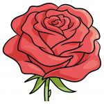 10 Tutorial On How To Draw a Simple Rose - Kido Craft