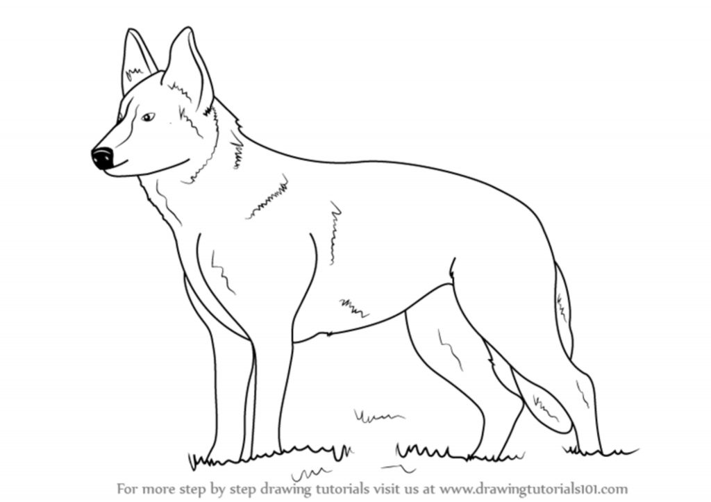 How to Draw a Dog Easy Step By Step Tutorial for Kids