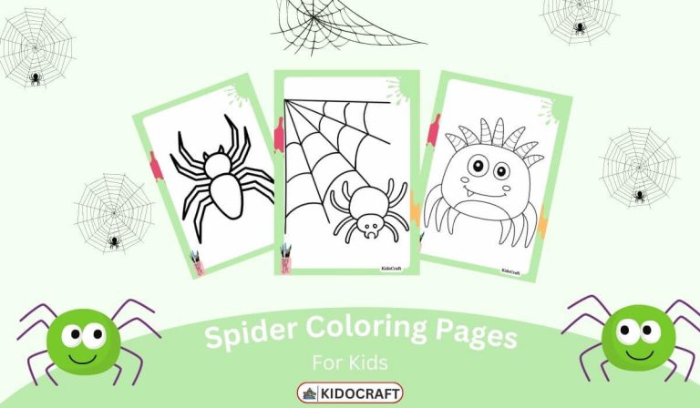 Spider Coloring Pages For Kids | Free Printable