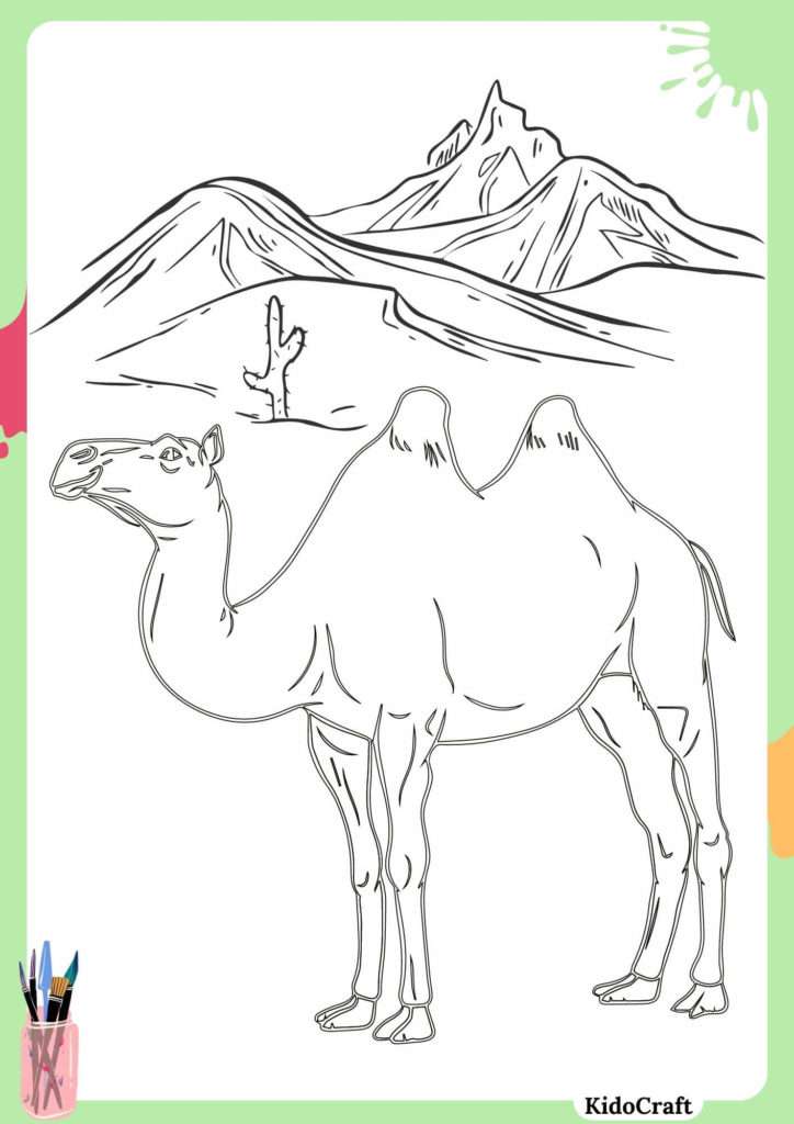 Let's Color with the Camels!