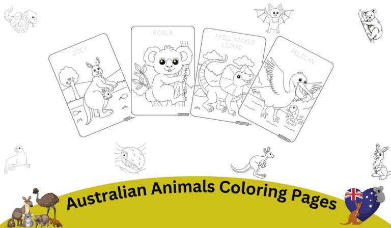 25+Australian Animals Coloring Pages  Printable