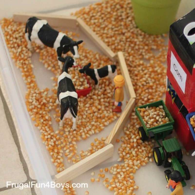 Farm Sensory Play Activities for Toddlers 