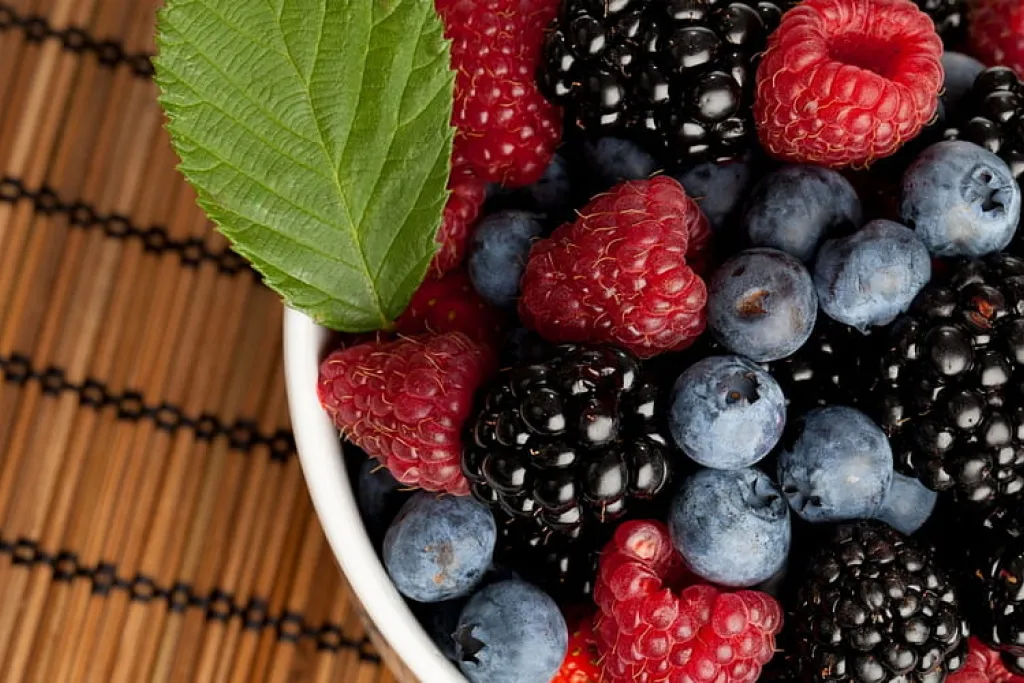 Berries Good for Mental and Physical Health Power for Your Kids 