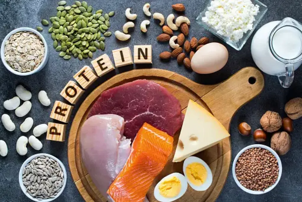 Best Protein Foods for Mental and Physical Health Power 