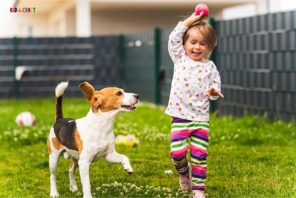 Beagle Dog Breeds with Girl