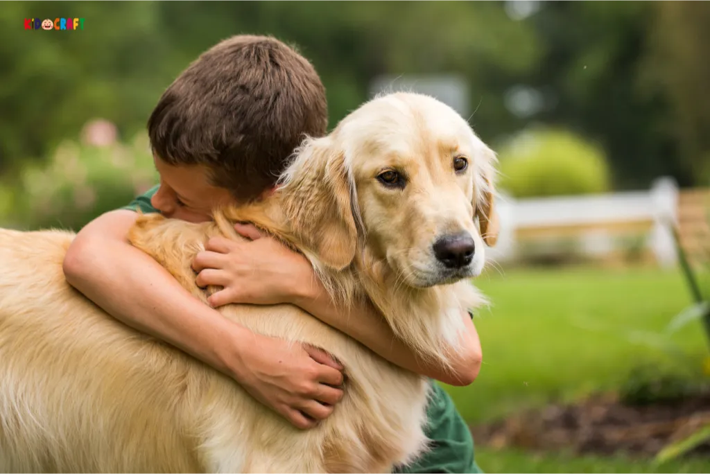 Golden Retrievers Dog Hug with Boy